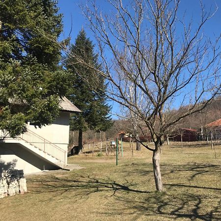 Apartman “Reka Gradac” Валево Екстер'єр фото